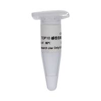 TOP10化学感受态细胞(TOP10 Chemically Competent Cell)
