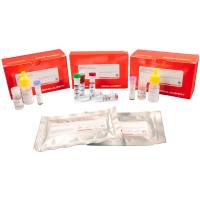 DUO94104-1KT默克西格玛Duolink flowPLA小鼠/山羊原位红色启动装试剂盒Merck Sigma-Aldrich