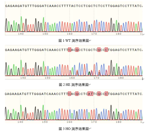 技术资料图片4