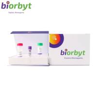Sorbitol Dehydrogenase Antibody 抗体,orb1338257,Biorbyt