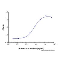 Recombinant Human EGF Protein,无载体,生物活性,ActiBioPure™,高性能,PBS Only,≥95%(SDS-PAGE),见COA,阿拉丁