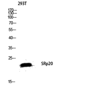 产品细节图片4