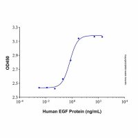 Recombinant Human EGF Protein，无载体,生物活性,ActiBioPure™,高性能,His标签,PBS Only,≥95%(SDS-PAGE)，阿拉丁