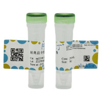 耐高盐全能核酸酶,9025-65-4,无载体, 生物活性, ActiBioPure™, EnzymoPure™, 重组, ≥99%(SDS-PAGE), 250U/μL, expressed in E. coli,阿拉丁