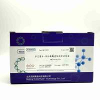 53ANQ001 诺博莱德多巴胺β-单加氧酶活性测定试剂盒 100 T