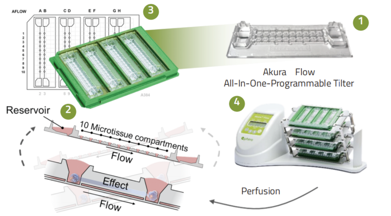 Akura Flow器官芯片组件