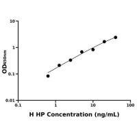 人结合珠蛋白(HP)ELISA试剂盒