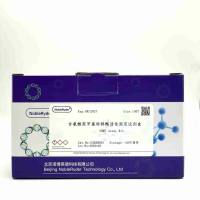 53BAB001 诺博莱德甘氨酸羟甲基转移酶活性测定试剂盒 100 T
