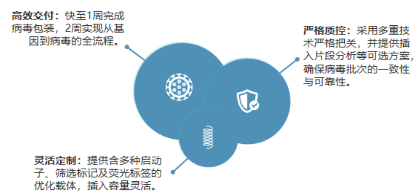 新闻图片4