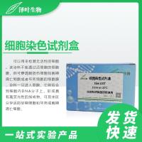 Annexin V-FITC/PI 双染细胞凋亡检测试剂盒