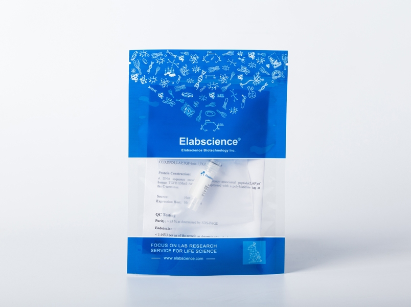 Recombinant Human RAB6A Protein (His Tag)产品图