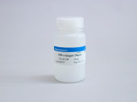 即用型HRP酶结合物稀释液
