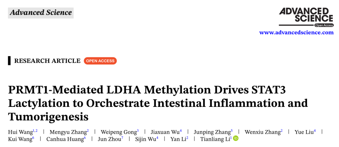 Advanced Science | 乳酸不只是“代谢废物”？科学家发现其通过STAT3乳酰化守护肠道稳态