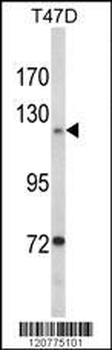 产品细节图片1