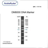 DM8000 DNA Marker(100-8000bp)