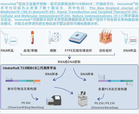 新闻图片4