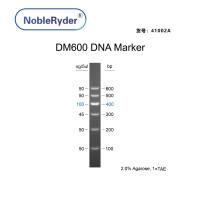DM600 DNA Marker（100-600bp）
