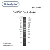 DM1500 DNA Marker（100-1500bp） 