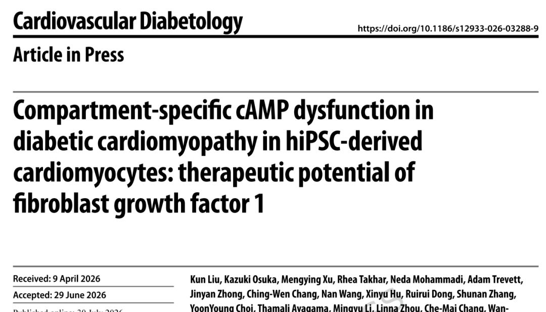 【Cardiovascular Diabetology】：糖尿病心肌病中cAMP信号的区室特异性障碍及FGF1的差异化修复作用