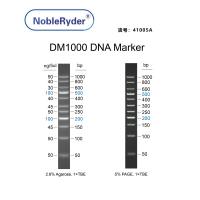 DM1000 DNA Marker(50-1500bp)