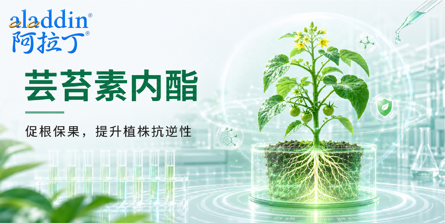 【阿拉丁】作物生理调节剂：芸苔素内酯的研究与应用