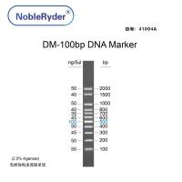 DM-100bp DNA Marker（100-2000bp）