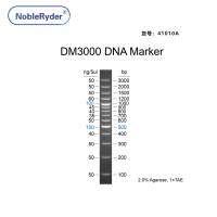 DM3000 DNA Marker（100-3000bp）
