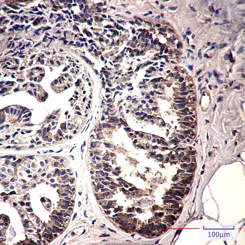 产品细节图片4
