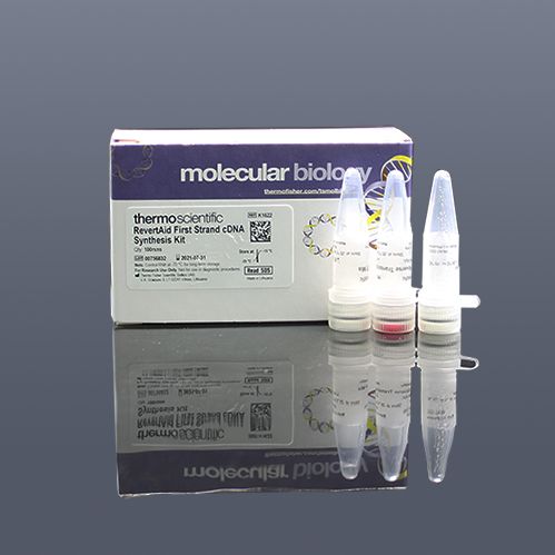 dsDNA HS Assay Kit Q32854
