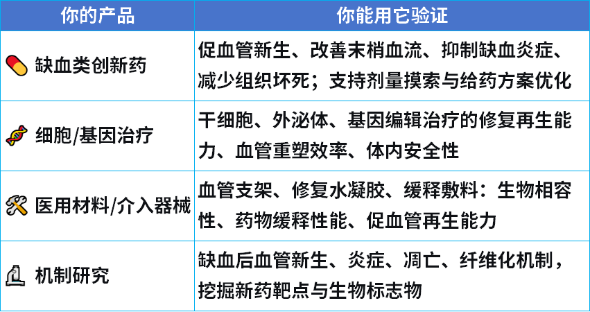 新药、干细胞、医用材料，都靠它验真身：小鼠后肢缺血模型，药效评价的黄金标准