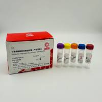 细小病毒B19探针法荧光定量PCR试剂盒（核酸检测试剂盒））