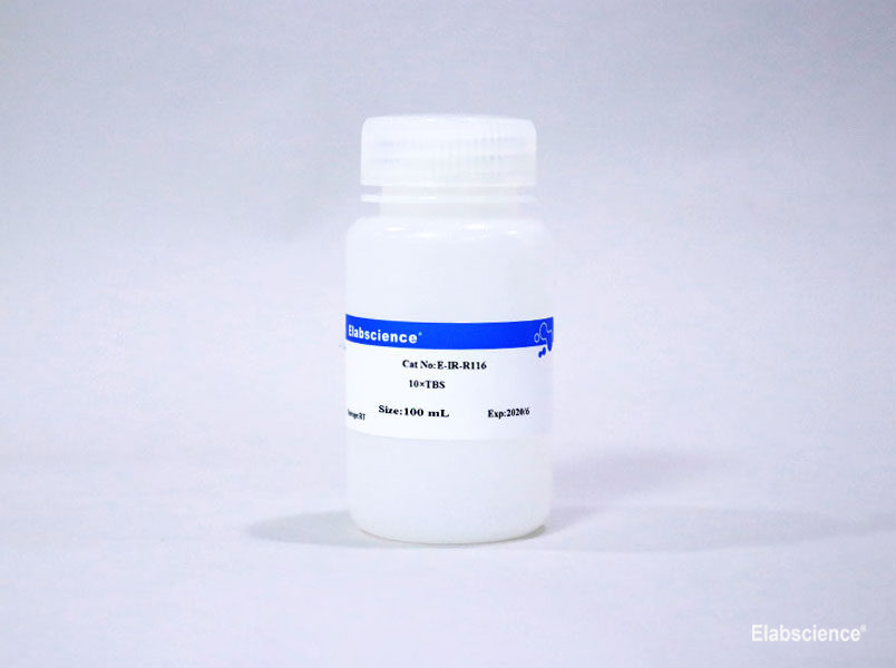 TBS缓冲液, pH7.4 (10×)产品图