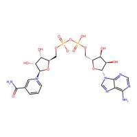β-烟酰胺腺嘌呤二核苷酸 水合物,53-84-9,≥99%, purified by column chromatography,阿拉丁
