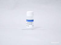 5% BSA封闭液