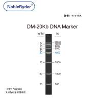 DM-20Kb DNA Marker(0.5-20kb)