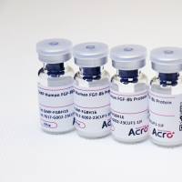 人纤维蛋白原样蛋白2(204-439)蛋白,组氨酸标签