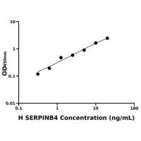 人鳞状细胞癌抗原2(SERPINB4)ELISA试剂盒
