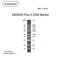 DM5000 Plus II DNA Marker(100-5000bp)