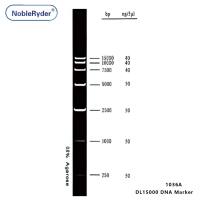 DL15000 DNA Marker (250-15000bp,three colors)