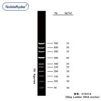 50bp Ladder DNA marker (50-700bp,three colors)