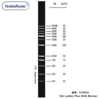1kb Ladder Plus DNA Marker (100-10000bp,three colors)