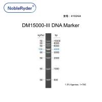 DM15000-III DNA Marker（500-15000bp）