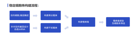 产品细节图片1