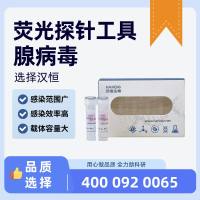 萤（荧）光探针工具腺病毒[HB-AV-PKG]