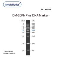 DM-20Kb plus DNA Marker(500-20000bp)