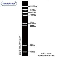 λDNA/Hind Ⅲ Marker (125-23130bp)