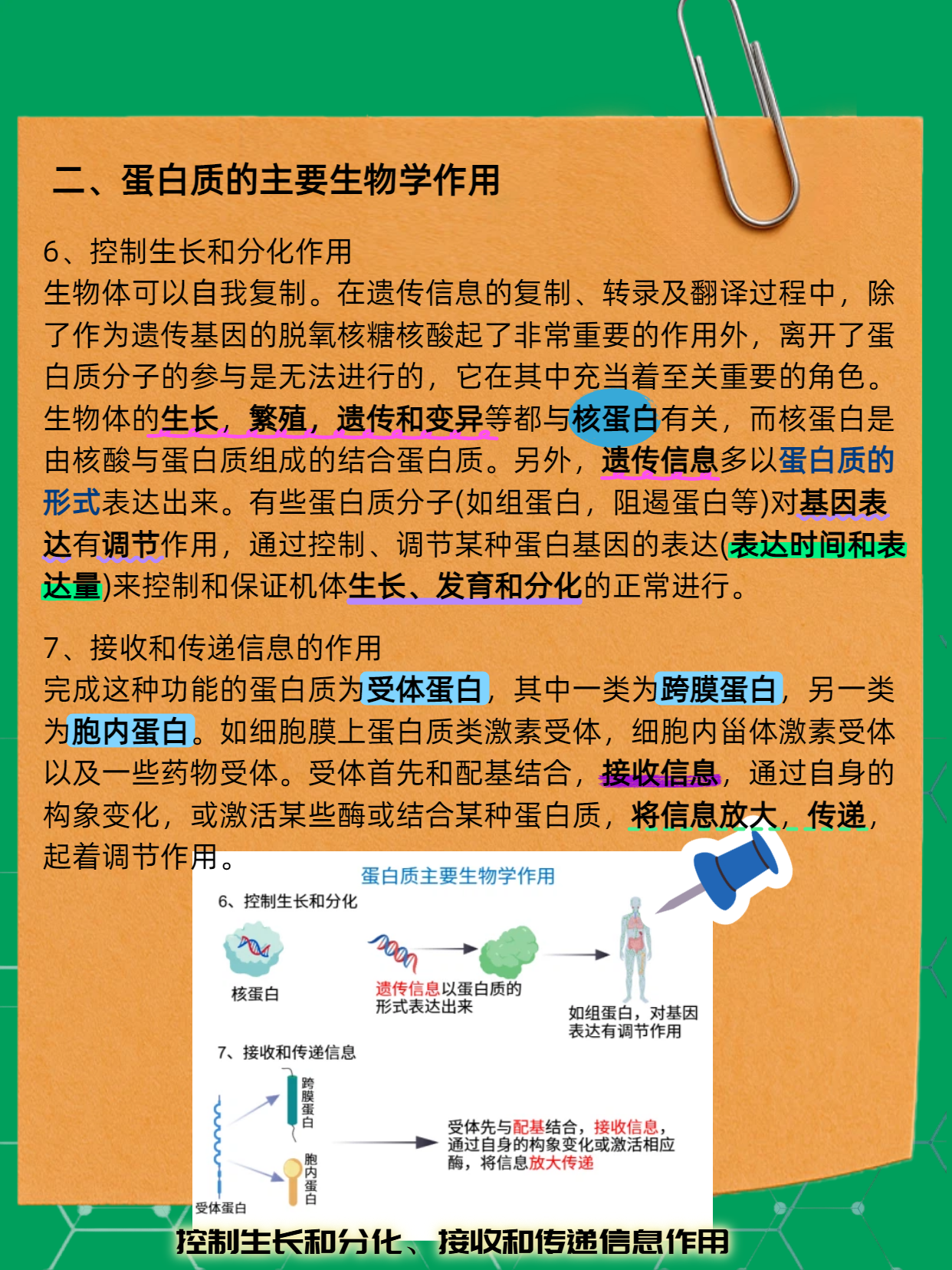 技术资料图片6