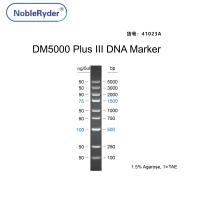 DM5000 Plus III DNA Marker(100-5000bp)