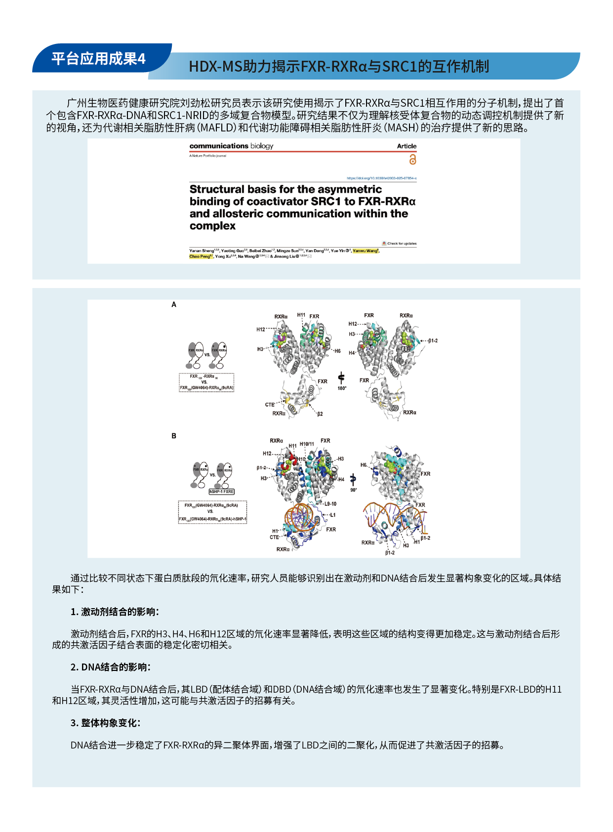 新抗原文献折页 - 备份3-15.png