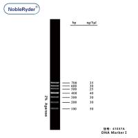 DNA MarkerⅠ (100-700bp,three colors)